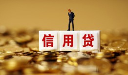 东莞线下哪有个人借贷-东莞线下小额贷款公司-东莞线下私借空放免费上门