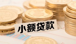 东莞线下身份证贷款平台-东莞线下私人借贷不查征信-东莞线下空放借钱